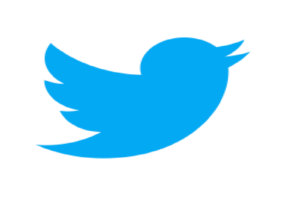 twitter link
